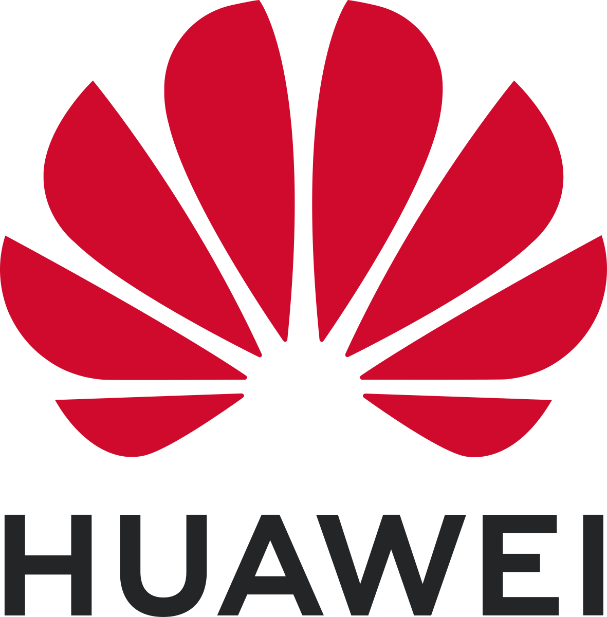 Huawei standard logo